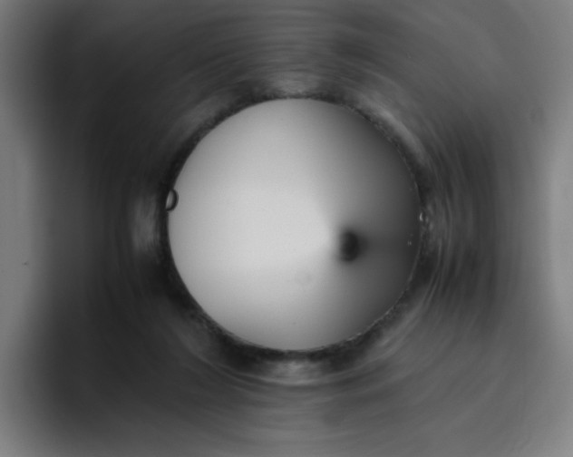 X0000096730212200802191555