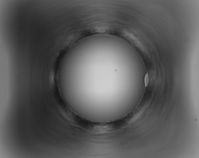 X0000096730213200802191555