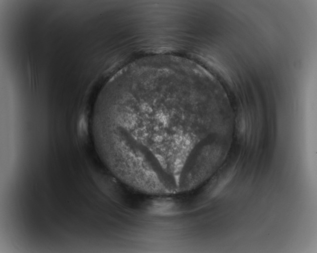 X0000096730214200802191555