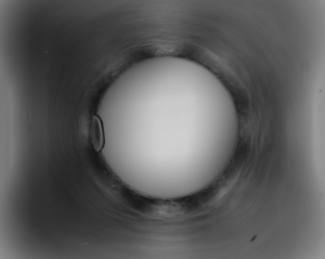 X0000096730215200802191555