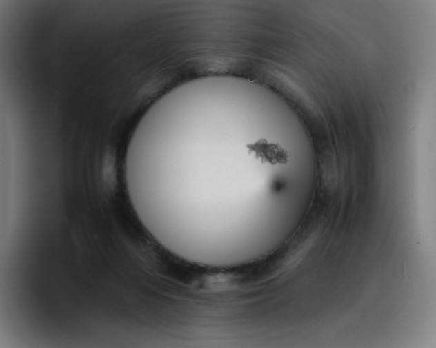 X0000096730216200802191555