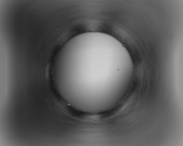 X0000096730217200802191555