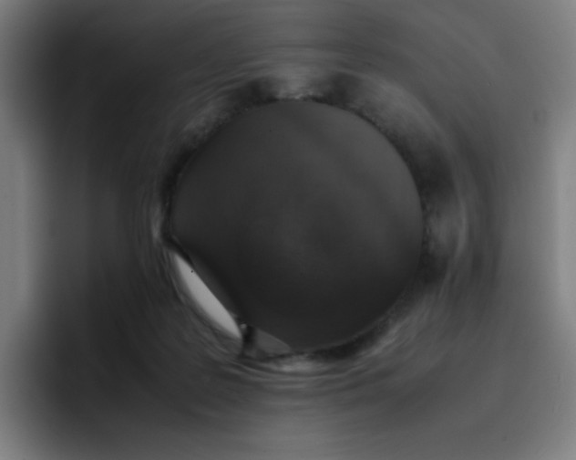 X0000096730219200802191555