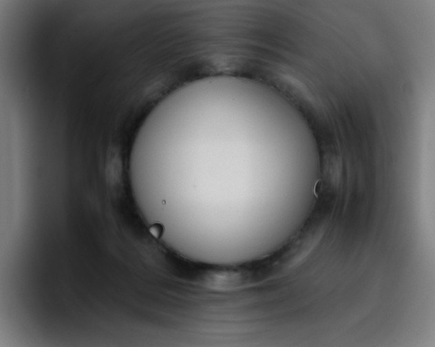 X0000096730220200802191555