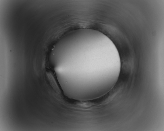 X0000096730221200802191555