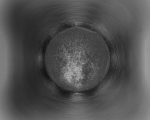 X0000096730222200802191555