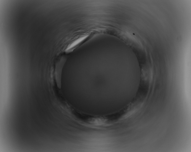 X0000096730223200802191555