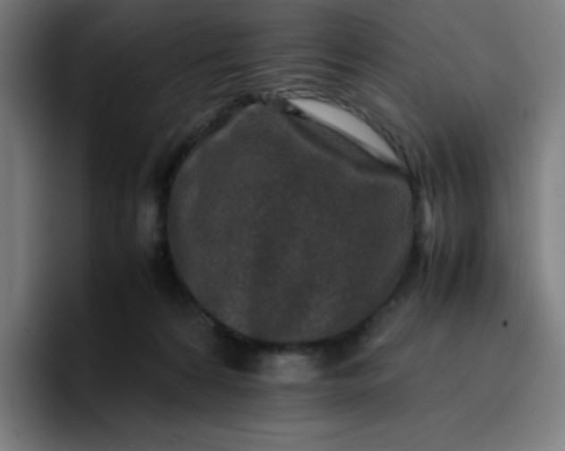 X0000096730224200802191555