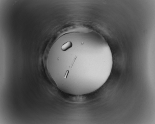 X0000096730225200802191555