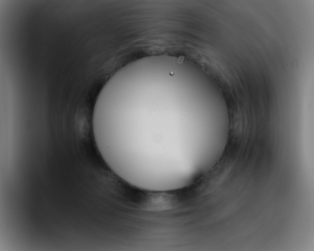 X0000096730226200802191555