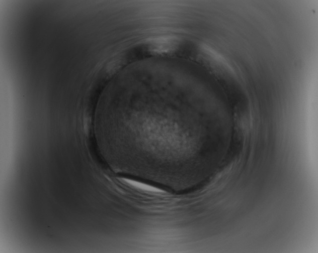 X0000096730227200802191555