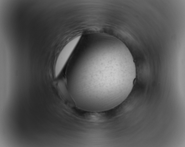 X0000096730229200802191555