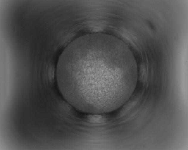 X0000096730230200802191555