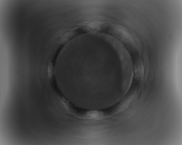 X0000096730231200802191555