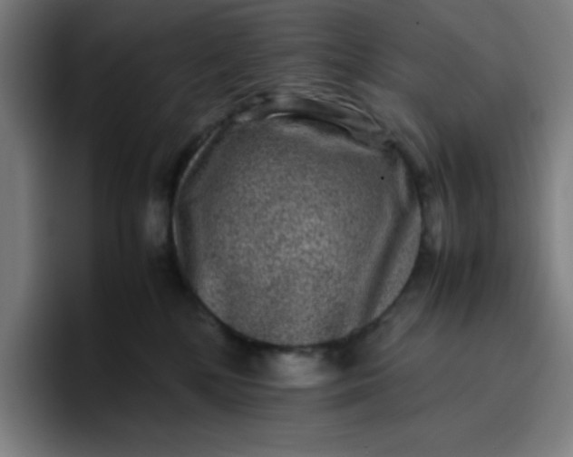 X0000096730232200802191554