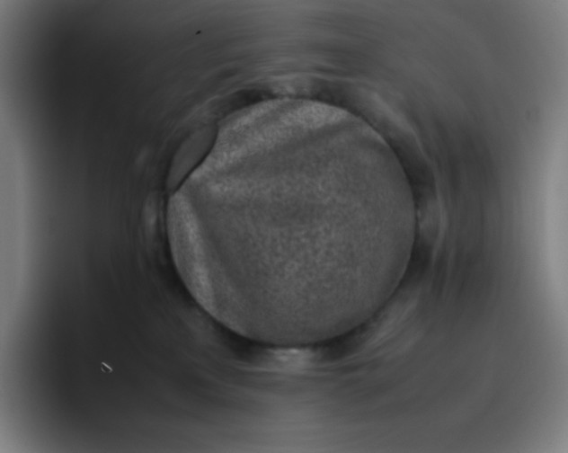 X0000096730233200802191554