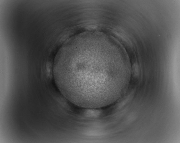 X0000096730234200802191554