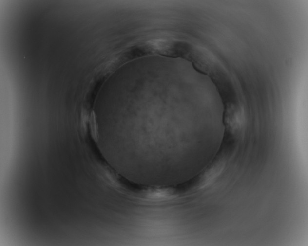 X0000096730235200802191554