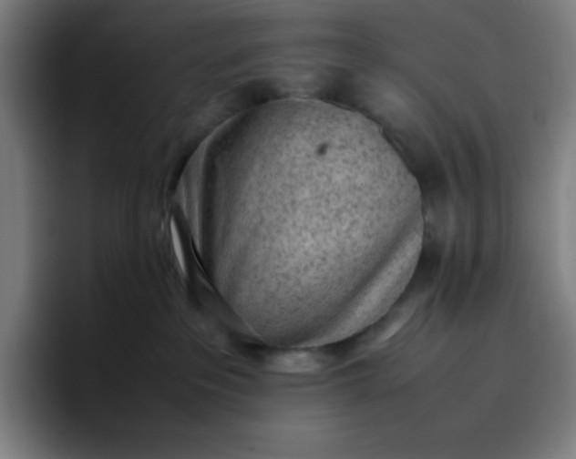 X0000096730237200802191554