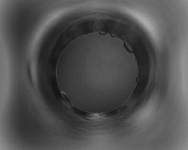 X0000096730239200802191554