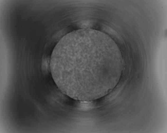 X0000096730240200802191554