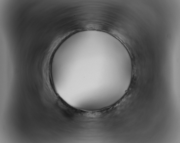 X0000096730241200802191554