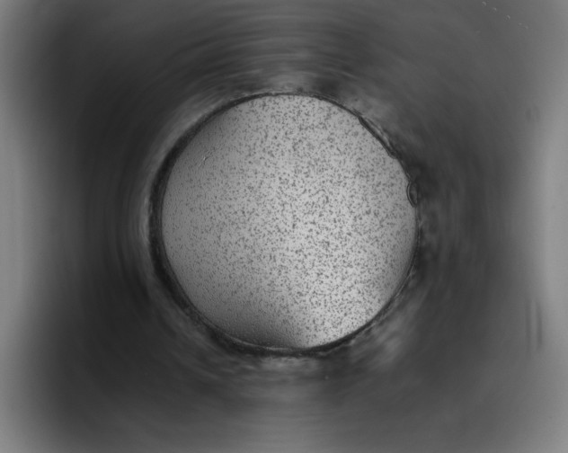 X0000096730242200802191554