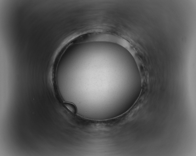 X0000096730244200802191554