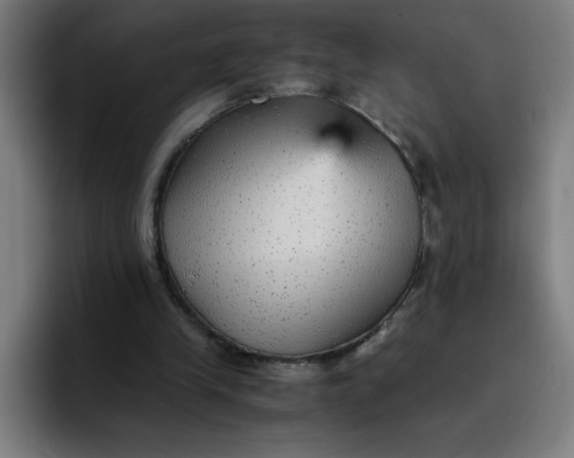 X0000096730245200802191554