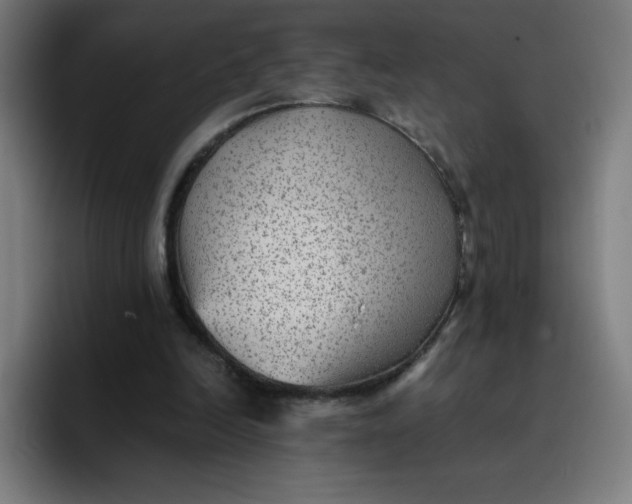 X0000096730246200802191554