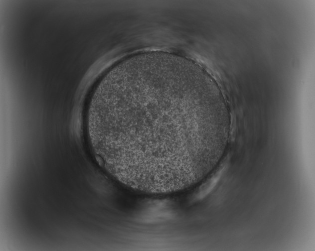 X0000096730247200802191554