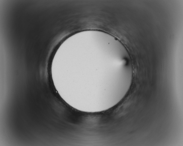 X0000096730248200802191554