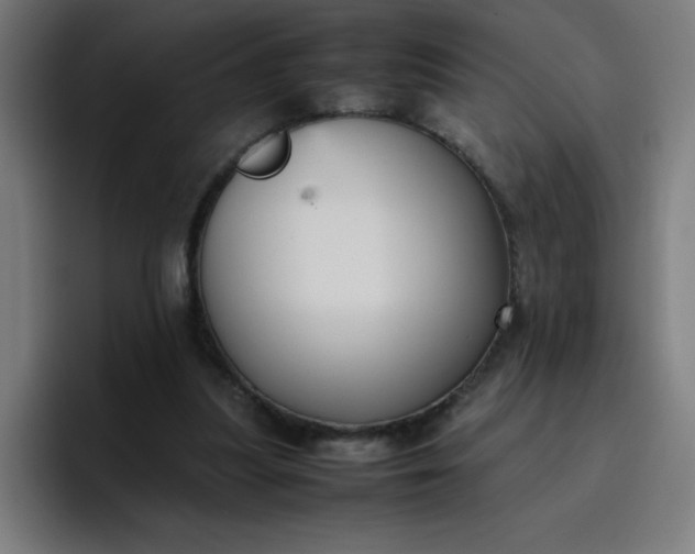 X0000096730251200802191554