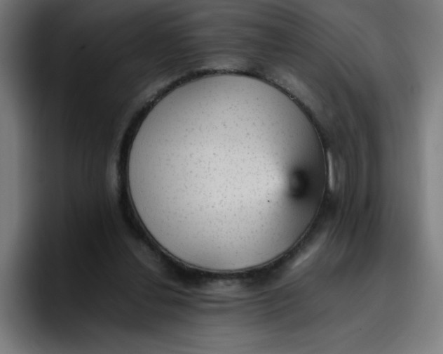 X0000096730252200802191554