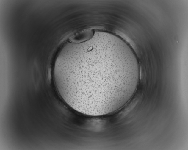 X0000096730253200802191554