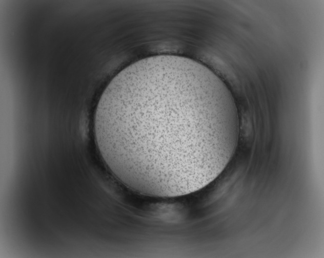 X0000096730255200802191554