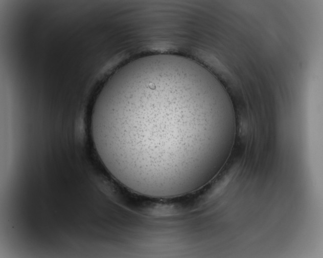 X0000096730256200802191554