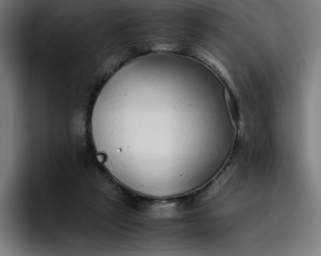 X0000096730257200802191554