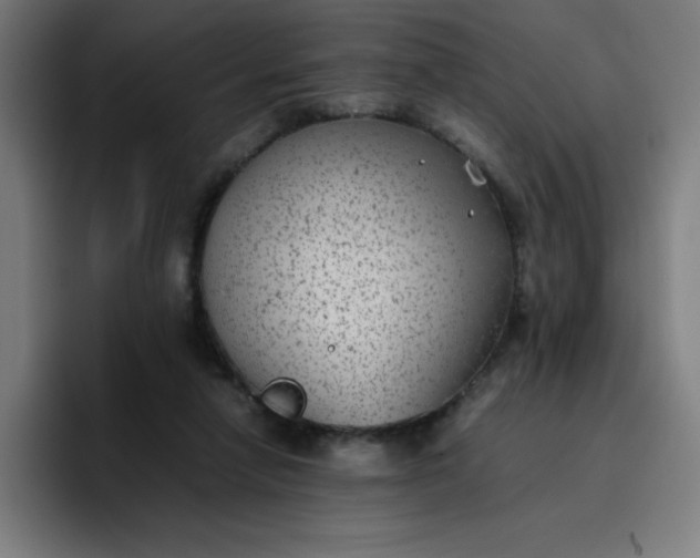 X0000096730258200802191554