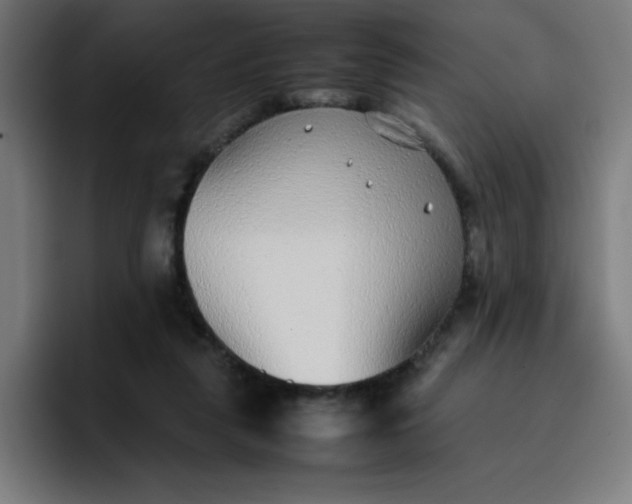 X0000096730259200802191554