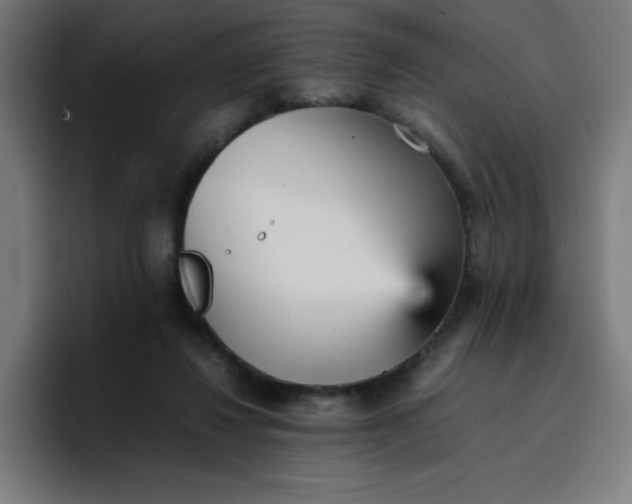 X0000096730260200802191554