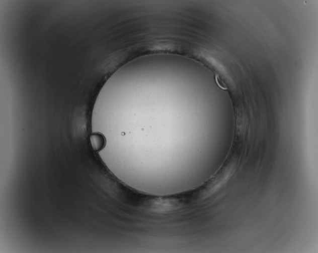 X0000096730261200802191554