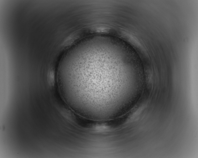 X0000096730262200802191554