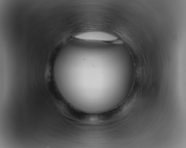 X0000096730264200802191554