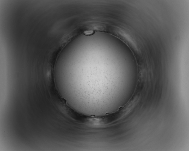 X0000096730265200802191554