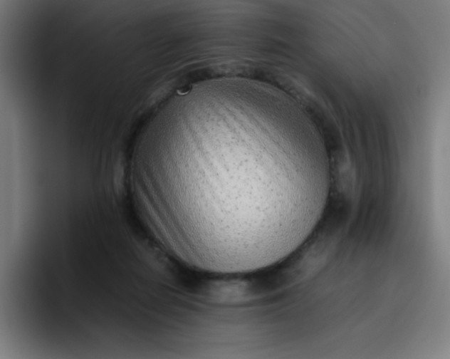 X0000096730266200802191554