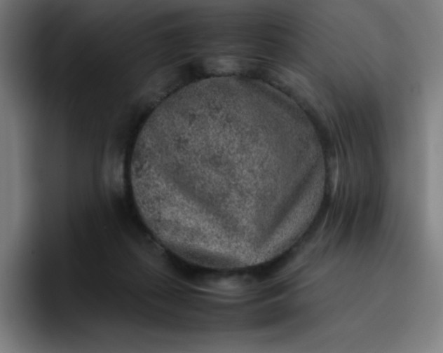 X0000096730267200802191554