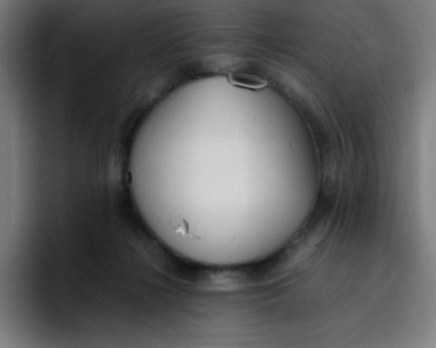 X0000096730268200802191554