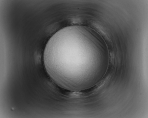 X0000096730269200802191554