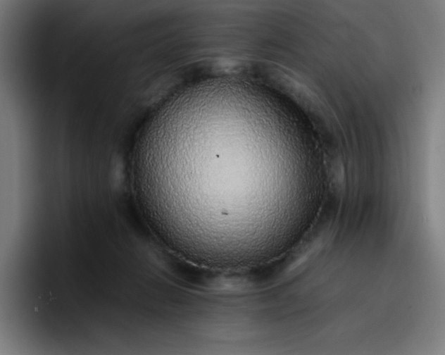 X0000096730270200802191554